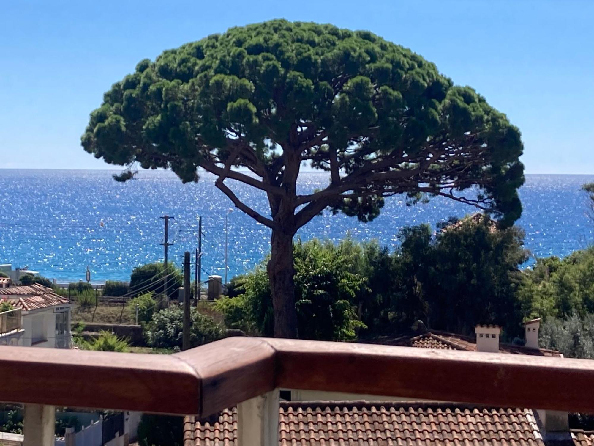 Access, Private In Shared 3-bedroom Apartment, Private Bathroom, Living With Sea View Parentale Salle De Bain Privee Acces Plages & Vue Du Salon Dans Partage Cannes